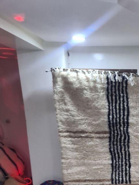white_arsalan_4.jpg